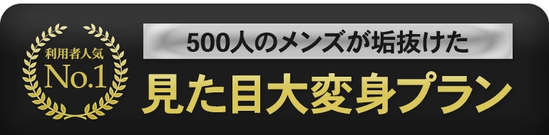 見た目大変身プラン